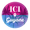 logo ici guyane (1024 x 1024 px) (360 x 360 px)